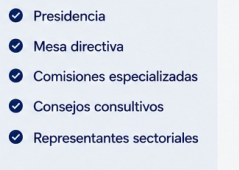 Estructura institucional